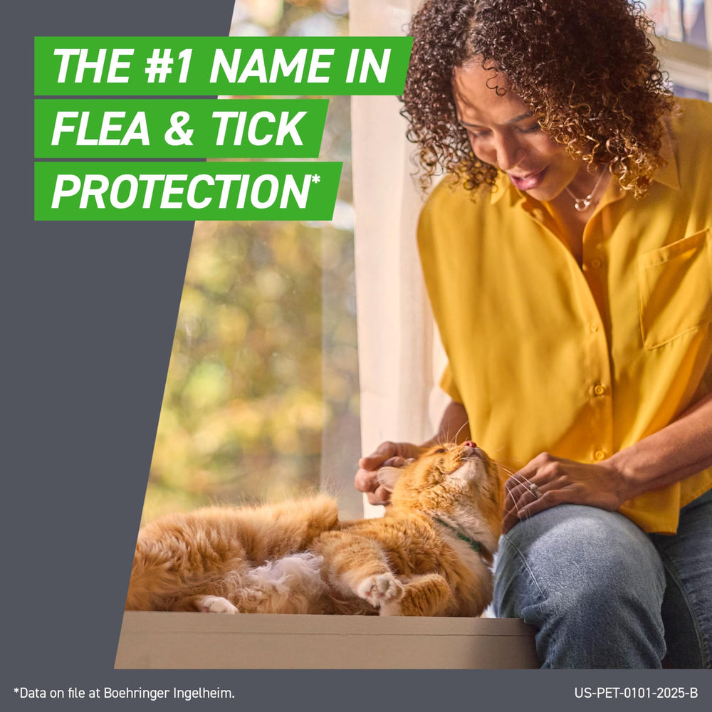 FRONTLINE Plus – chat calme après l’application, protection mensuelle.