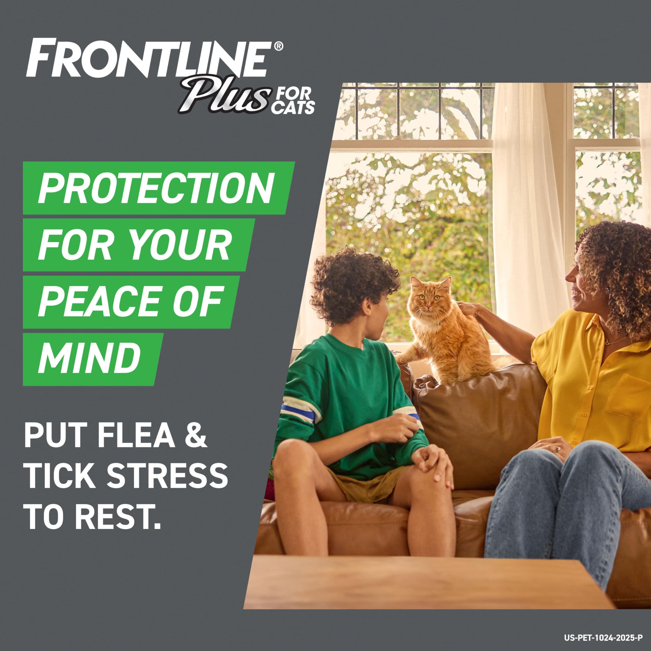 FRONTLINE Plus Chat : démonstration de protection durable contre puces et tiques.