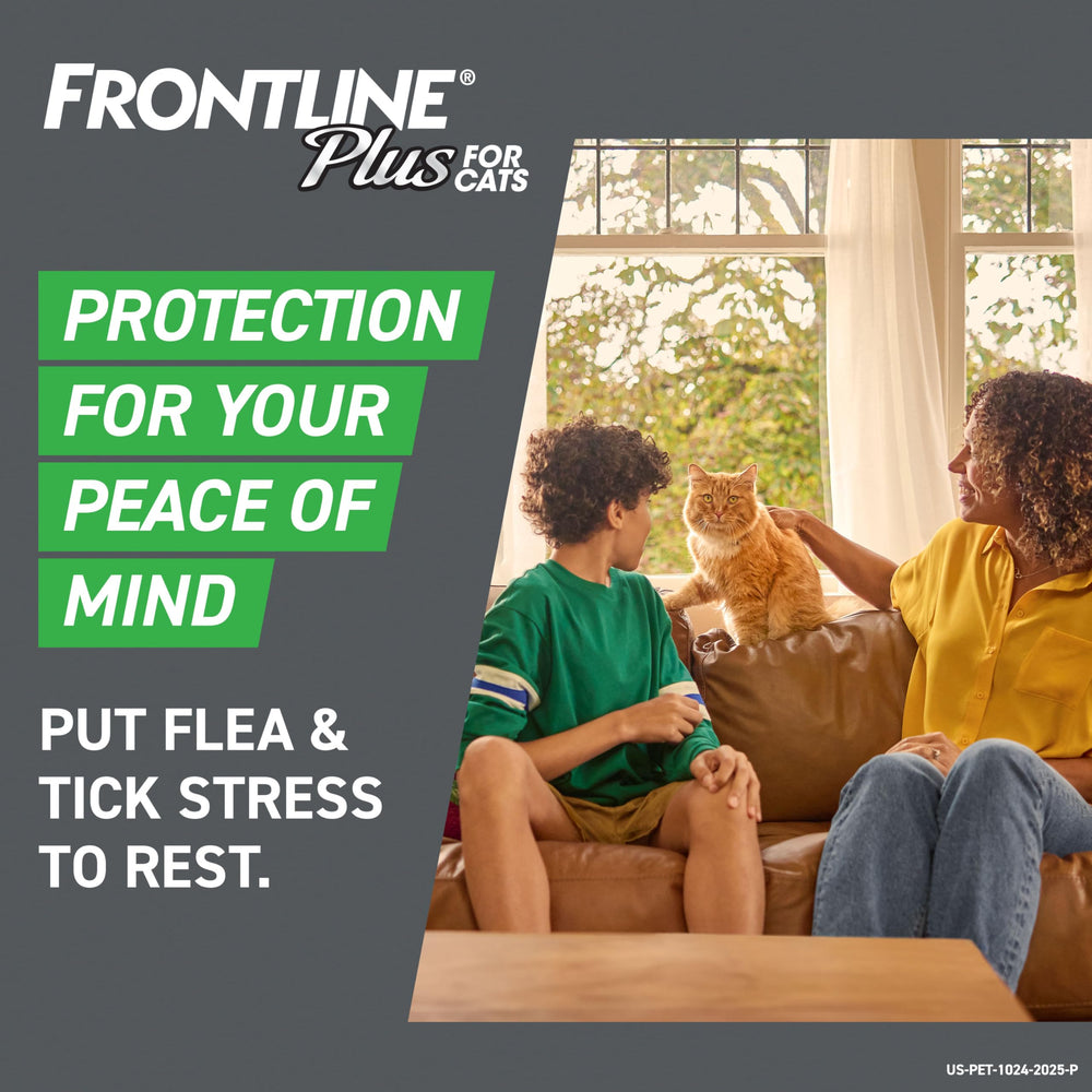 FRONTLINE Plus Chat : démonstration de protection durable contre puces et tiques.
