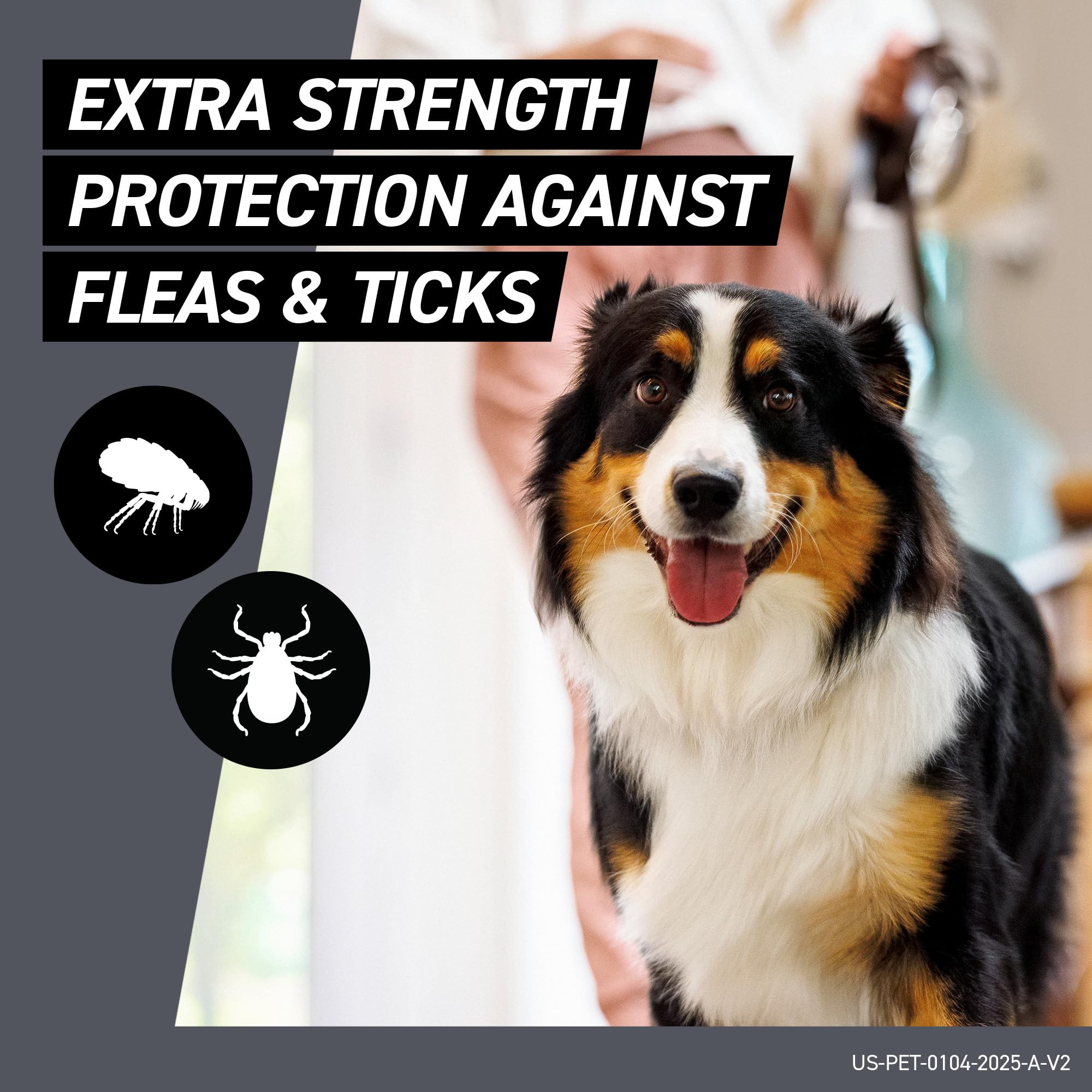 Application sur le poil du chien avec Frontline Shield, diffusion rapide
