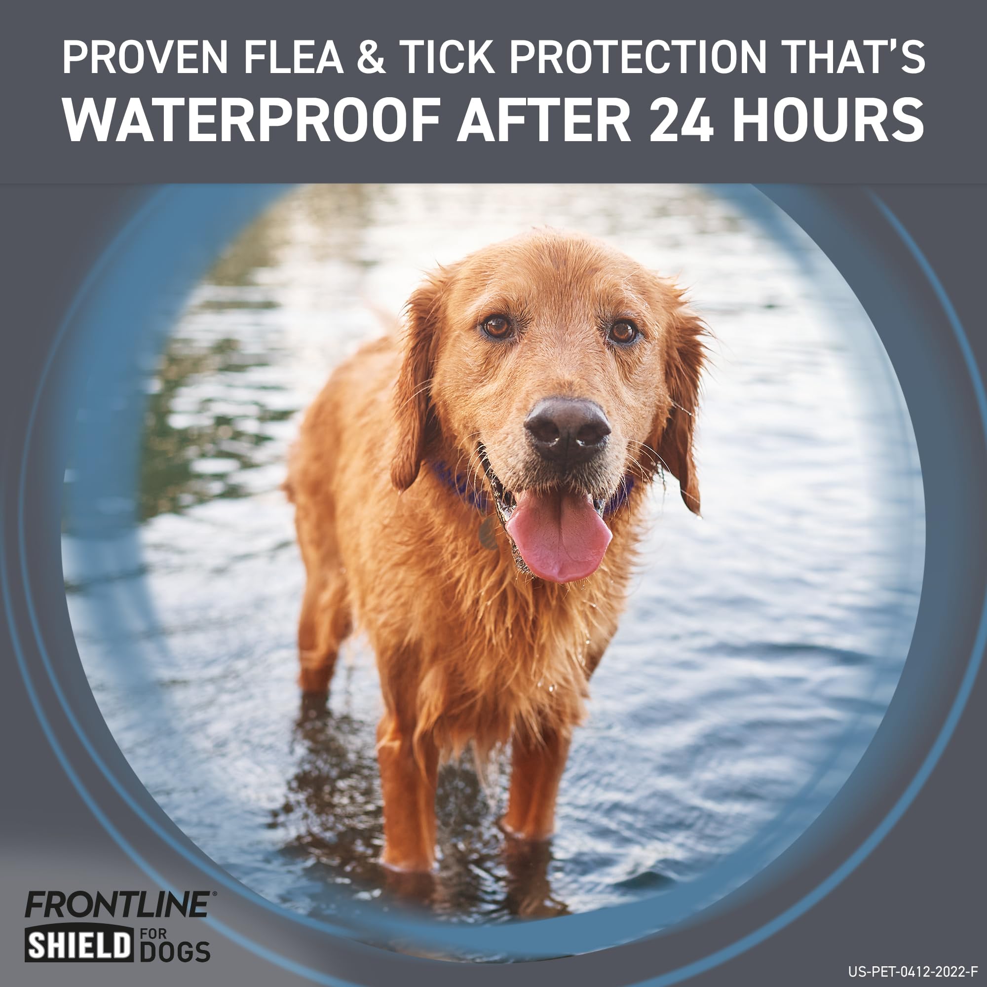 Frontline Shield – corps-entier-chien-applique, diffusion homogène sur le pelage.