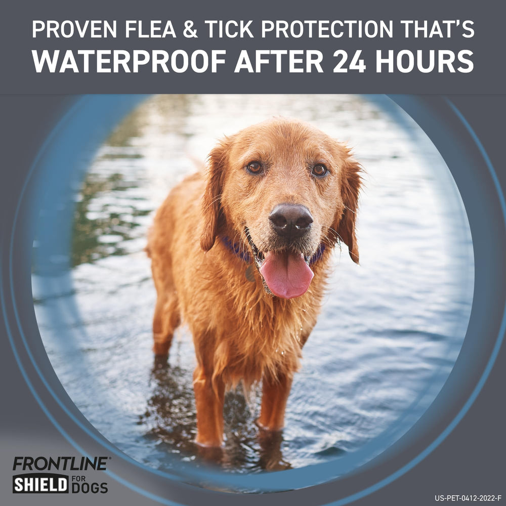 Frontline Shield – corps-entier-chien-applique, diffusion homogène sur le pelage.