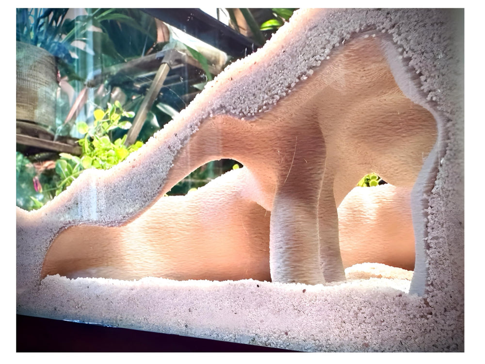 FROSTO cachette racine mangrove angle aquarium offre un refuge discret.