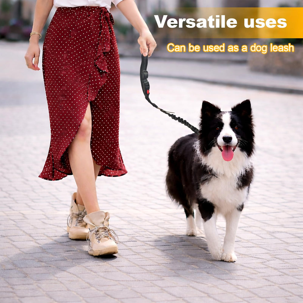 Frskcssd ceinture chien voiture compatibilité véhicules variés et installation facile