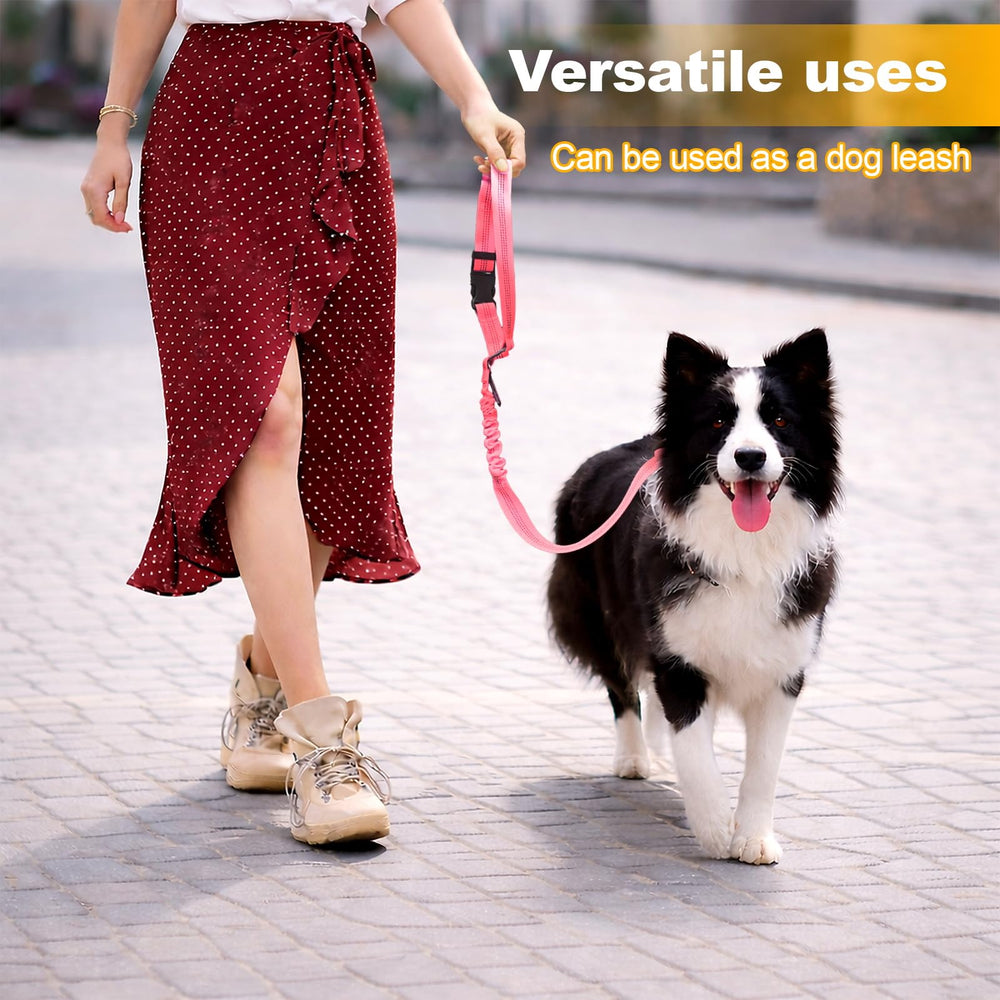 Frskcssd compatible avec la plupart des véhicules VUS pour chien en voyage.