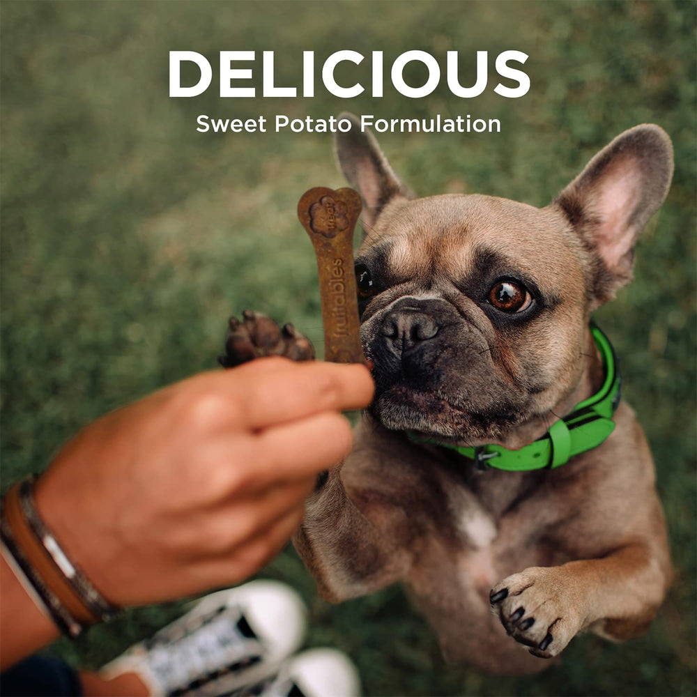 Fruitables BioActive poche-traitement-accessoire-pour-chien: pratique en déplacement.