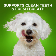 Fruitables BioActive varech islandais calcium: soutien naturel des dents.
