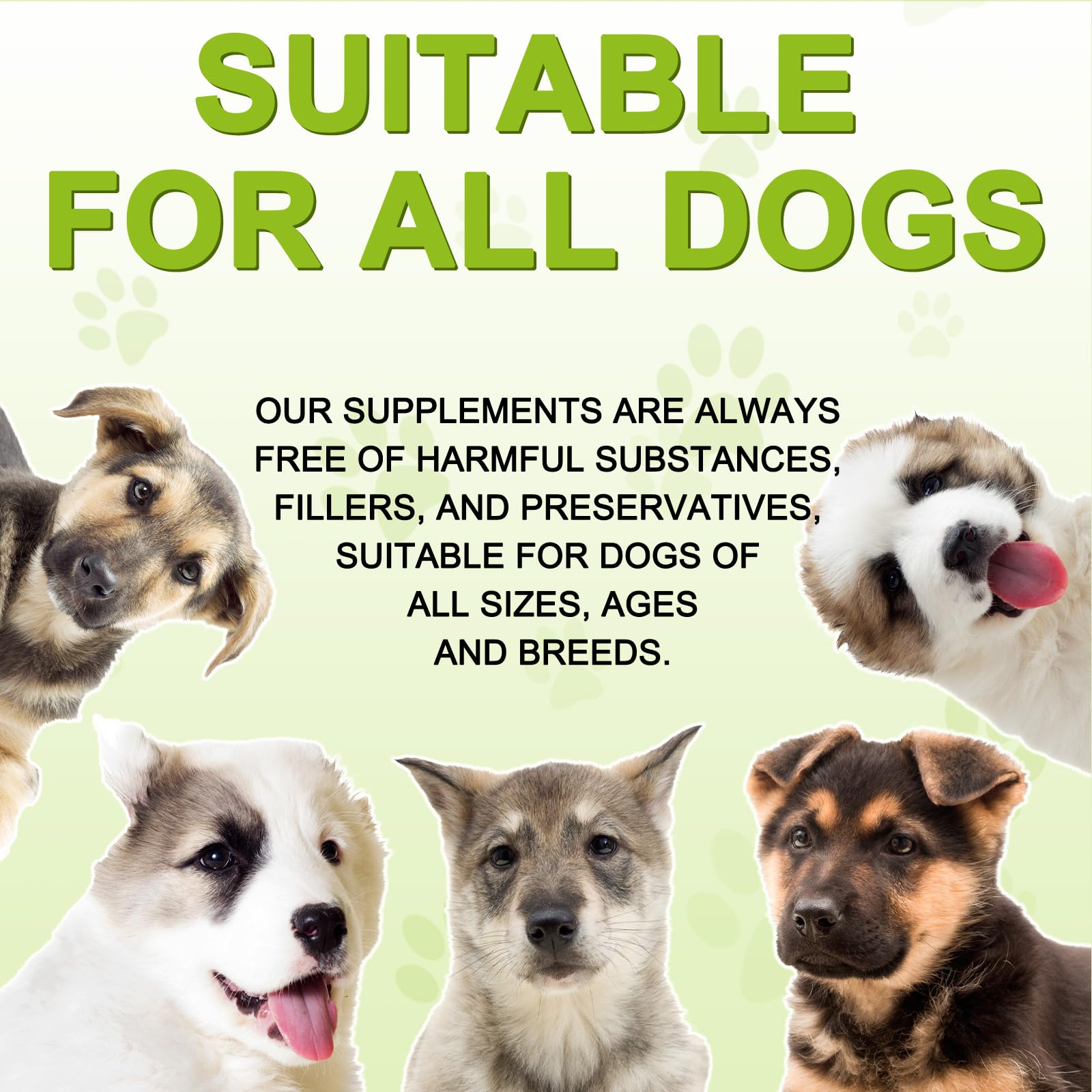 Guide de dosage FSLHCY chardon-Marie pour différentes tailles de chiens.