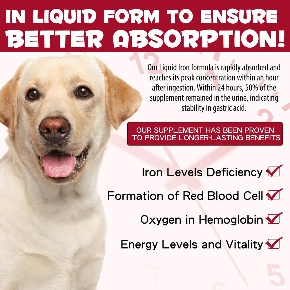 FSLHCY Fer Chien Énergie: peut aider à soutenir l'activité et la vitalité.