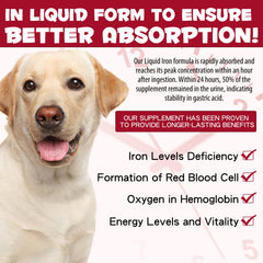 FSLHCY Fer Chien Énergie: peut aider à soutenir l'activité et la vitalité.