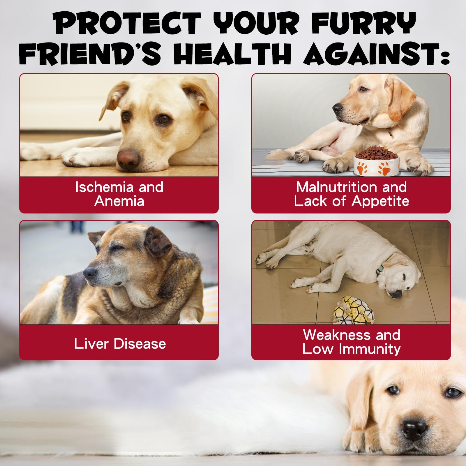 FSLHCY Goutte Fer Chien: dose précise pour le transport d'oxygène.