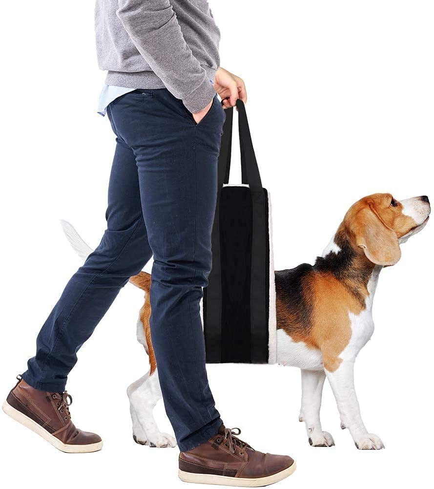 FSUHHIAD securite-confort-dog-lift, soutien rassurant pour chiens âgés.
