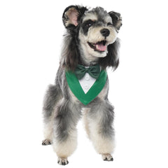 FUAMEY bandana chien élégant, parfait pour look formel lors d'événements
