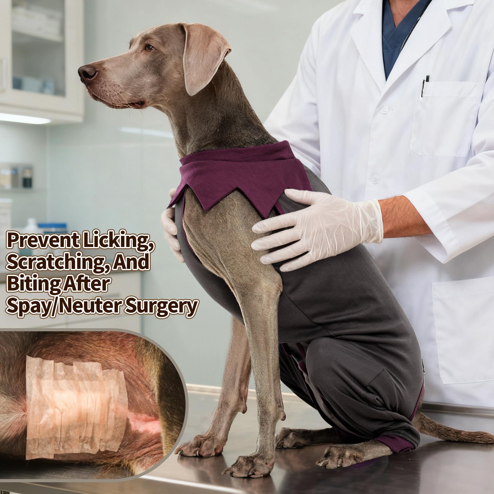 FUAMEY costume-recup-chien-rembourre-jambe: protection des cuisses et articulations.