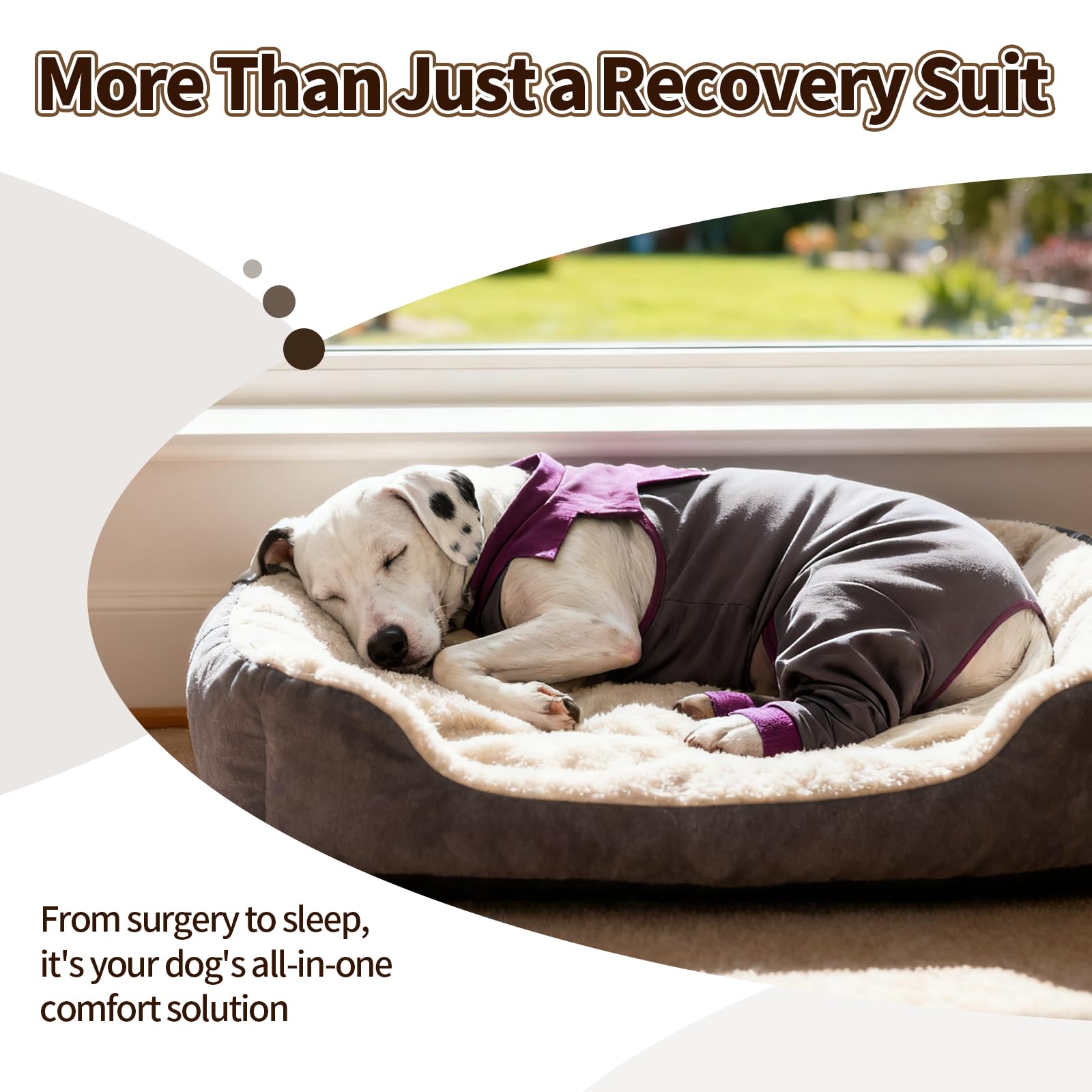 FUAMEY costume-recup-chien-ventilation-dos: tissu respirant pour peau sèche et confortable.
