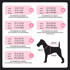 FUAMEY combinaison de récupération chien vue arrière bleu protège le site postopératoire et favorise le confort