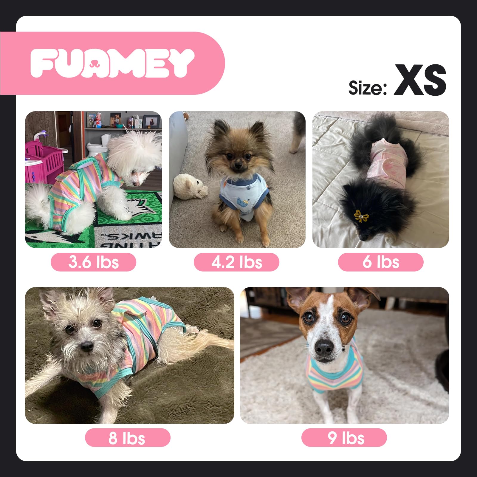 FUAMEY combinaison récupération chien noir XS, avec couches pour prévenir les fuites.