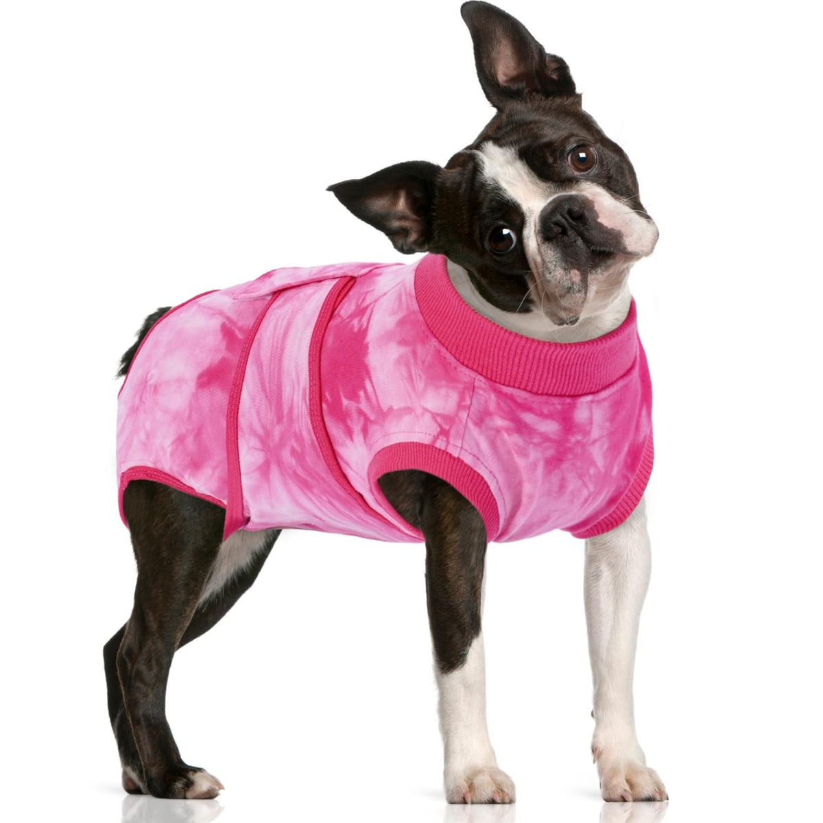 FUAMEY combinaison recuperation chien grand - facile a enfiler et protege les plaies