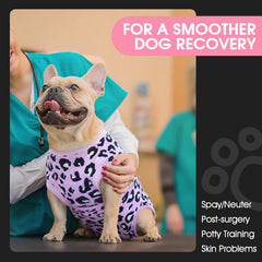 FUAMEY design pratique, facile a porter pour chien