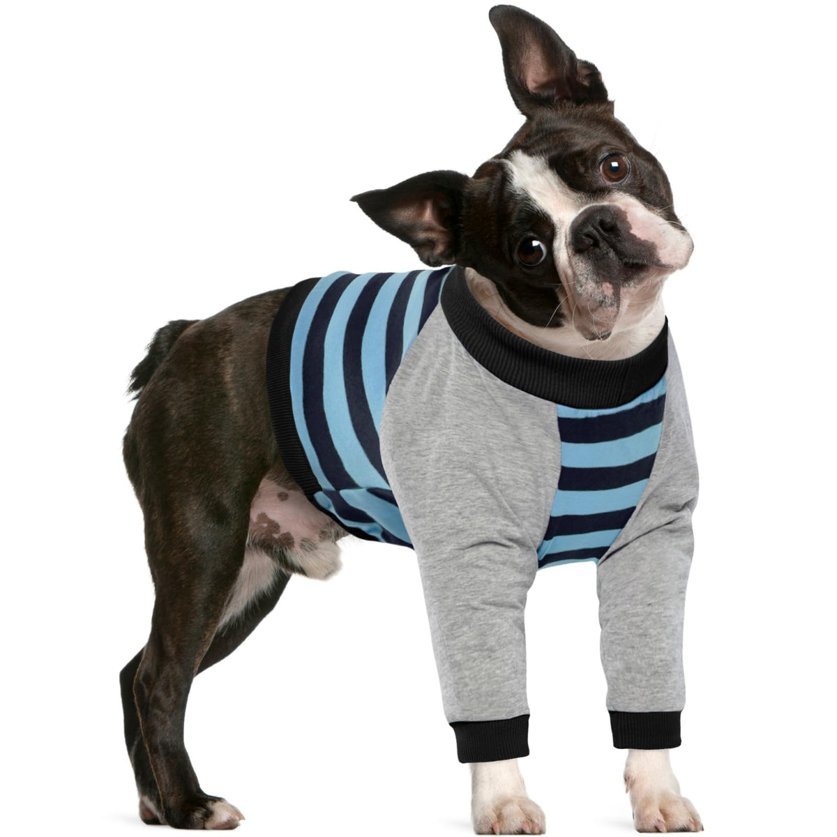 FUAMEY manchon récupération chien coude bleu rayé, protège le coude lors des activités quotidiennes