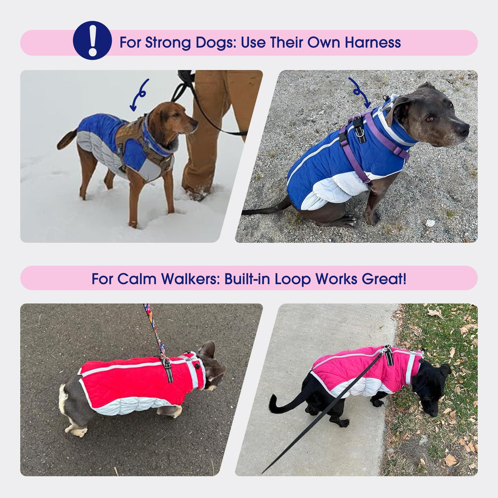 FUAMEY manteau chien ajustement élastique et coutures robustes pour un bon fit.