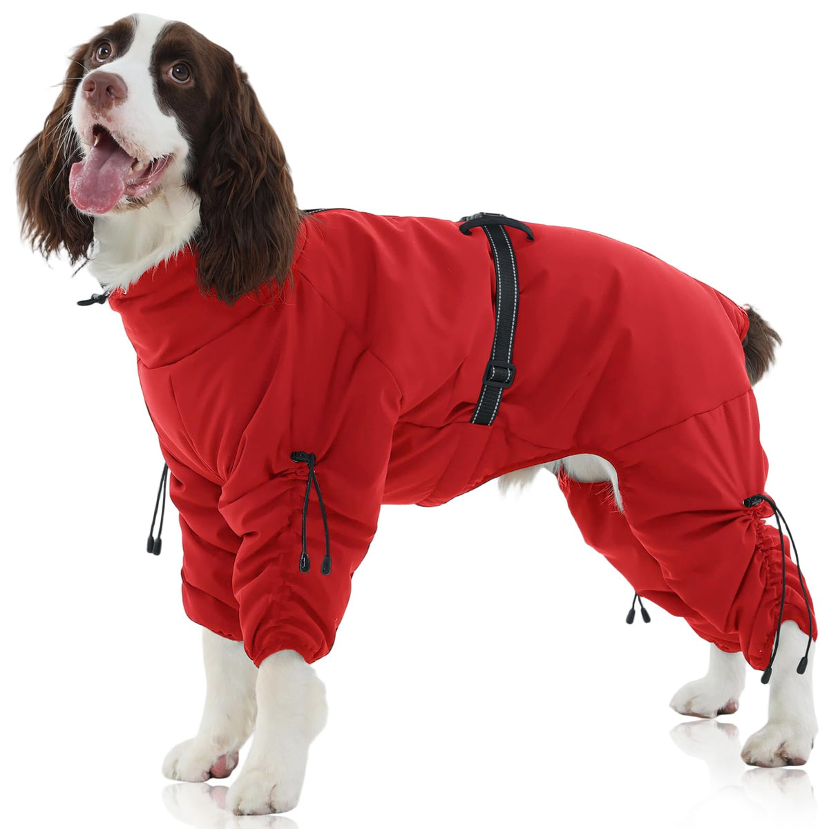 Manteau FUAMEY chien, corps complet pour chaleur hivernale et protection complète
