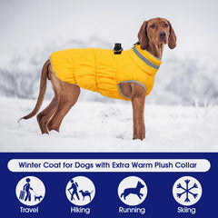 FUAMEY manteau chien protection du cou contre le vent et le froid.