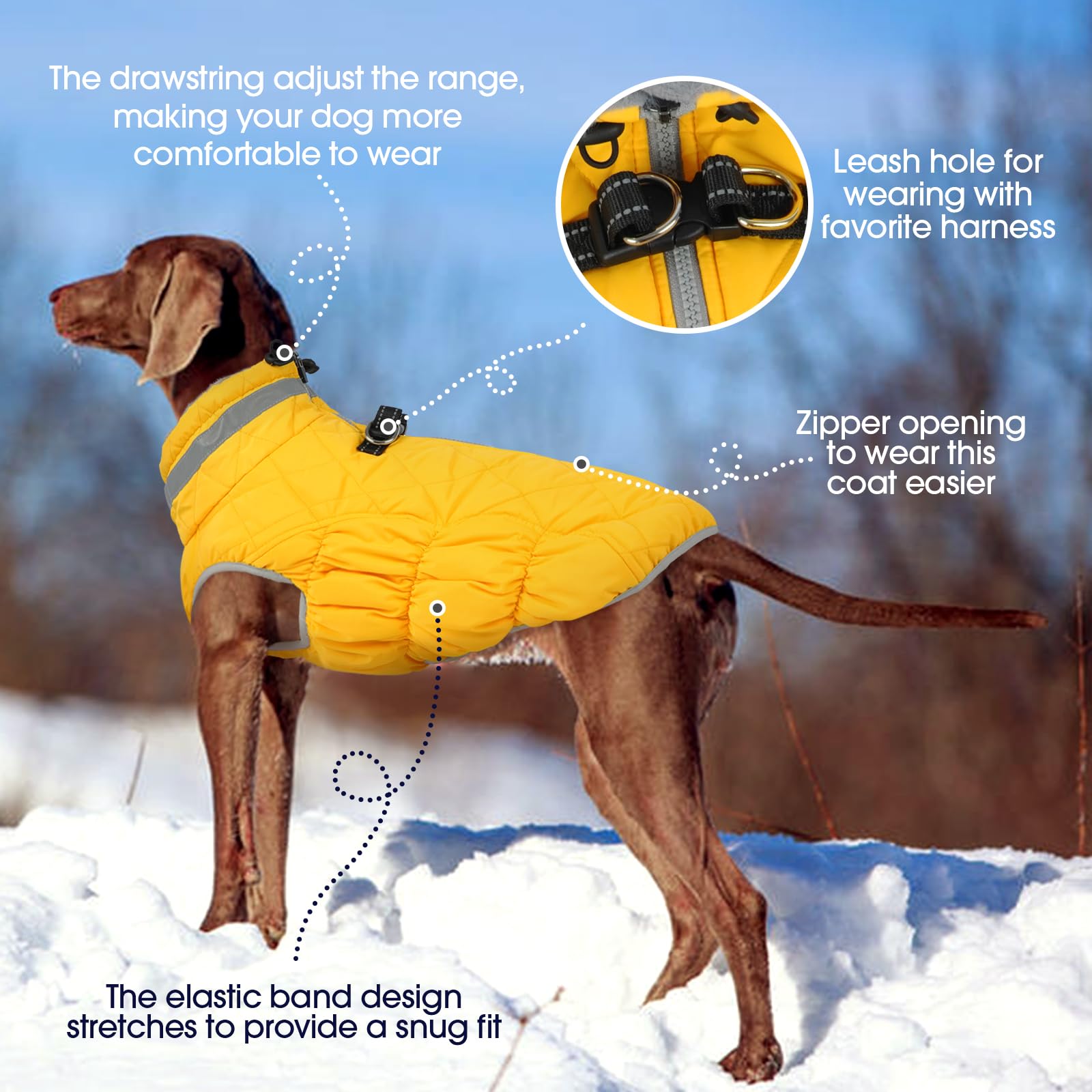 FUAMEY manteau chien avec harnais intégré et zip arrière pour un enfilage facile.