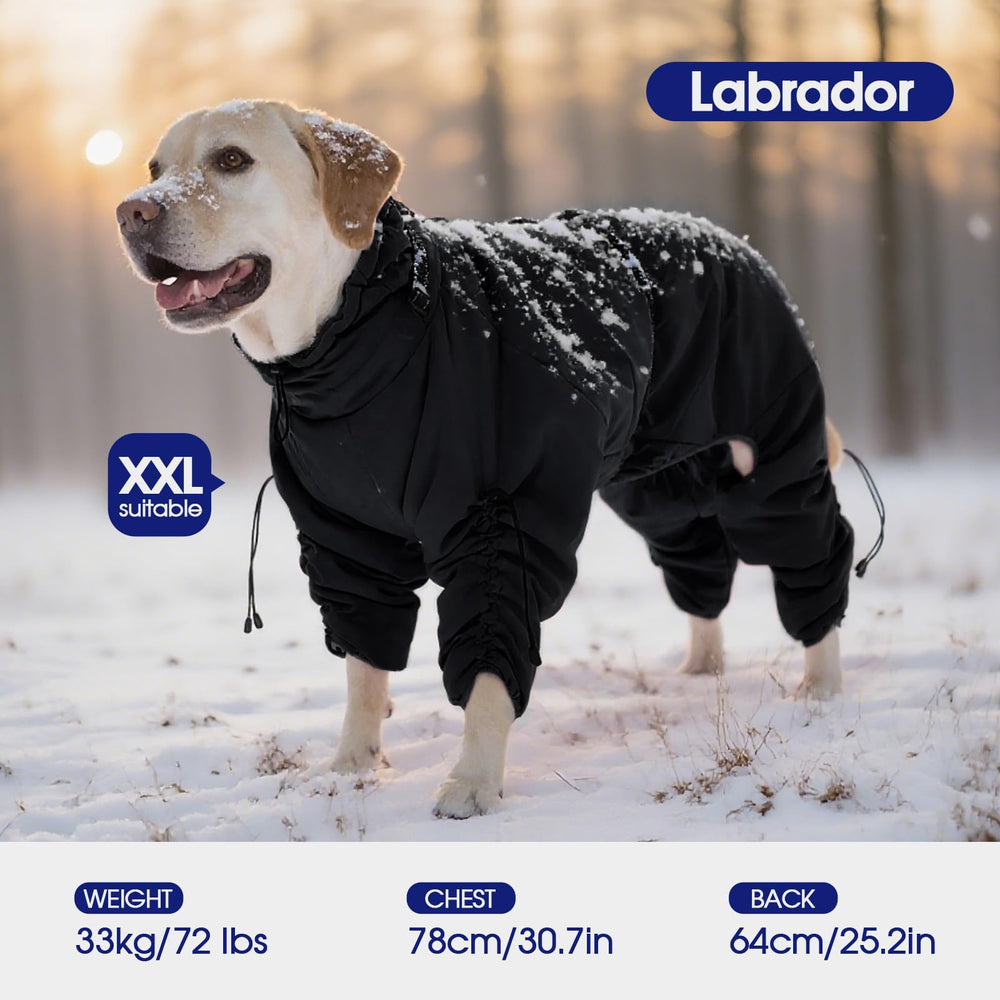FUAMEY manteau chien, harnais intégré pour déplacements sécurisés en promenade.
