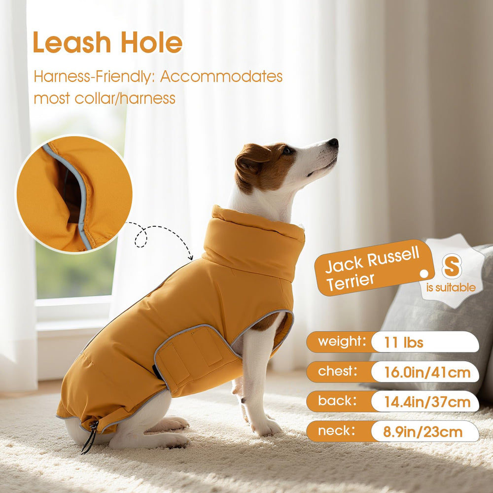 Manteau FUAMEY pour chien, bandes réfléchissantes pour sécurité nocturne.