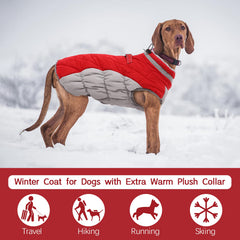 FUAMEY manteau chien rembourrage polaire chaud pour sorties froides.
