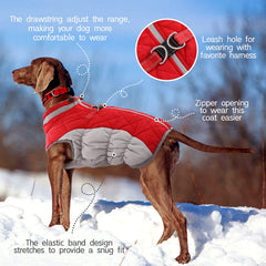 FUAMEY manteau chien col haut et protection du cou contre le vent.