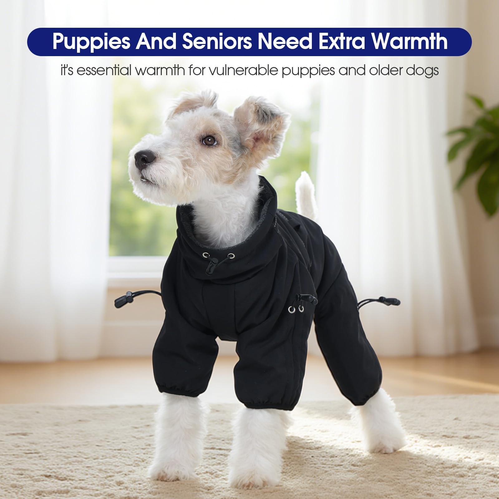 FUAMEY manteau idéal en extérieur en hiver pour petits chiens