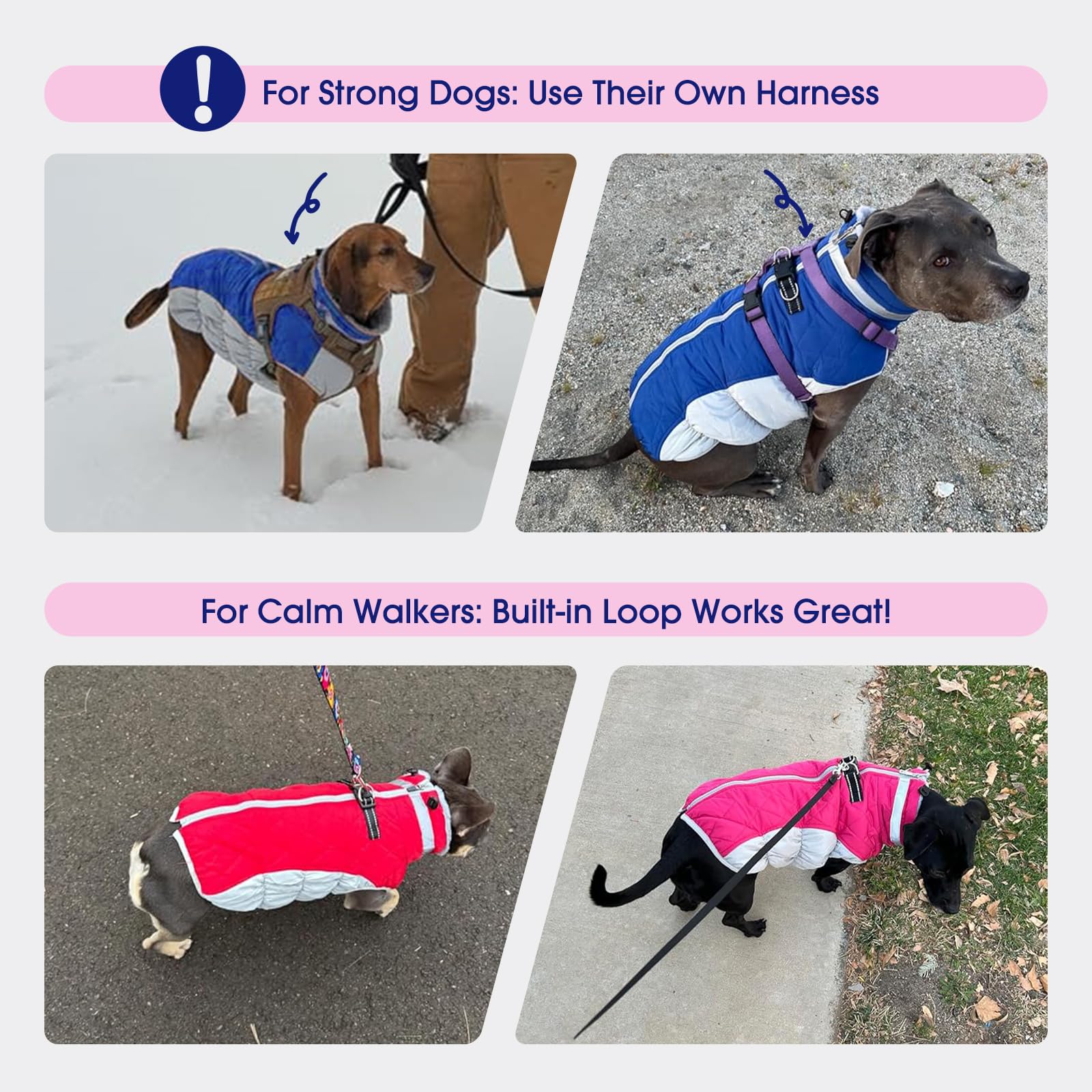 FUAMEY manteau chien visibilite réfléchissante pour sorties nocturnes sécurisées.