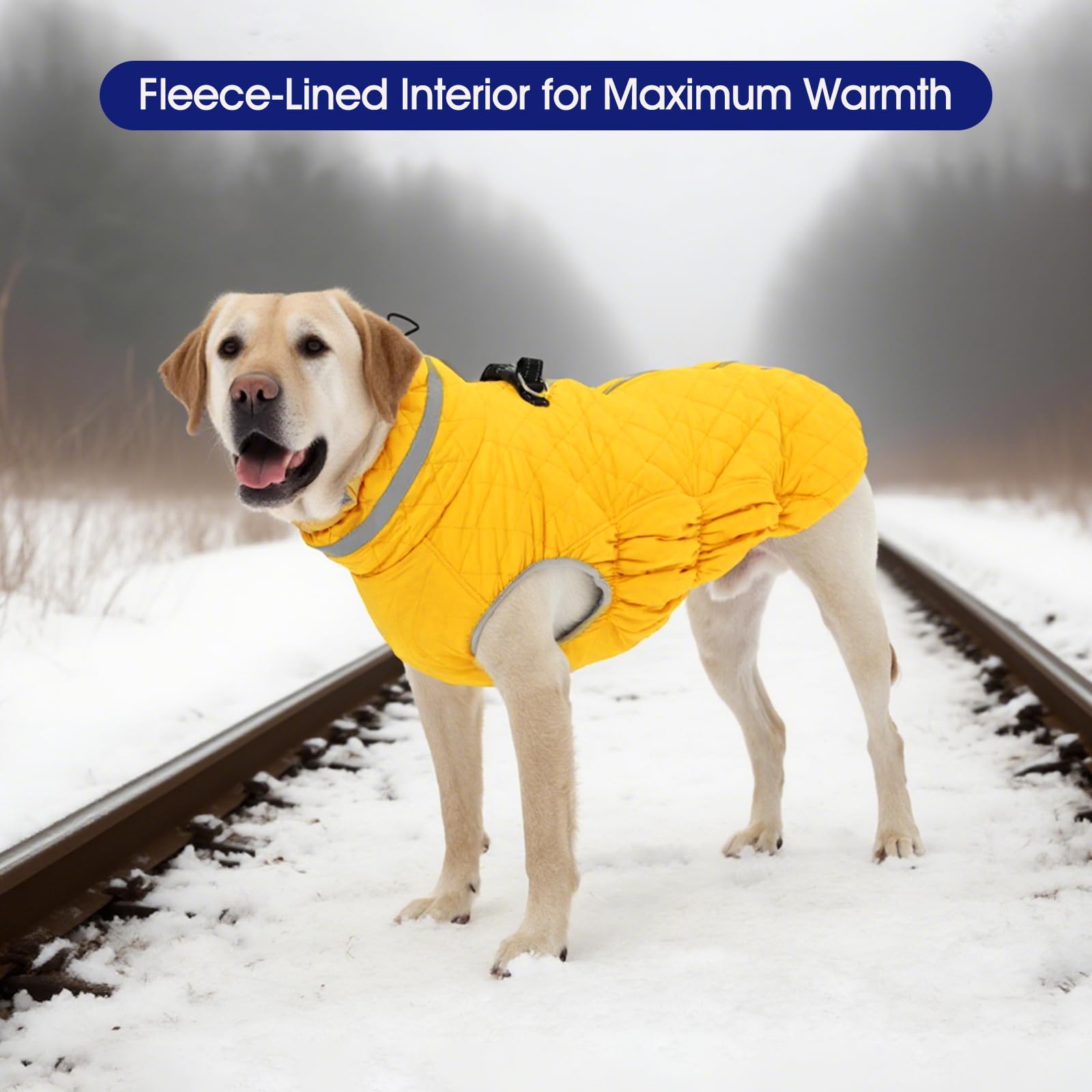FUAMEY manteau chien avec zip sur le dos et ajustement anti-vent.