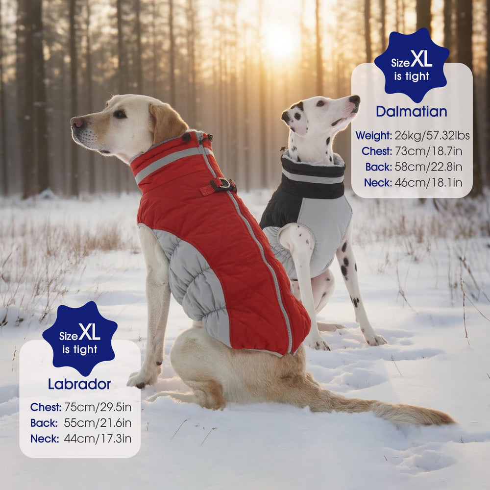 FUAMEY manteau chien zip dorsal et harnais intégré pour attacher la laisse rapidement.