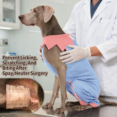 FUAMEY Pyjama quotidien pour chien confort durable et usage simple.