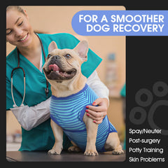 FUAMEY Recovery Suit vue dos d’un chien portant la combinaison