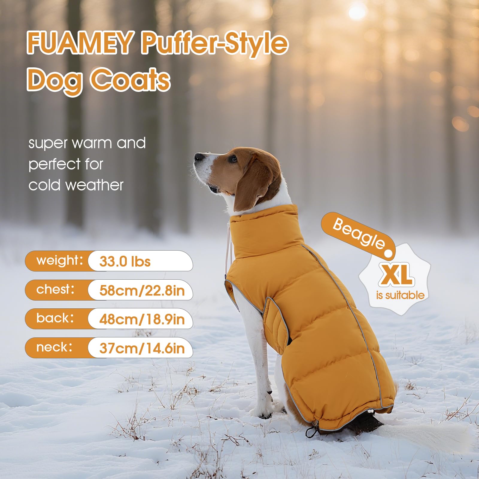 FUAMEY utilisation hivernale outdoor-chien moyen montre polyvalence en plein air