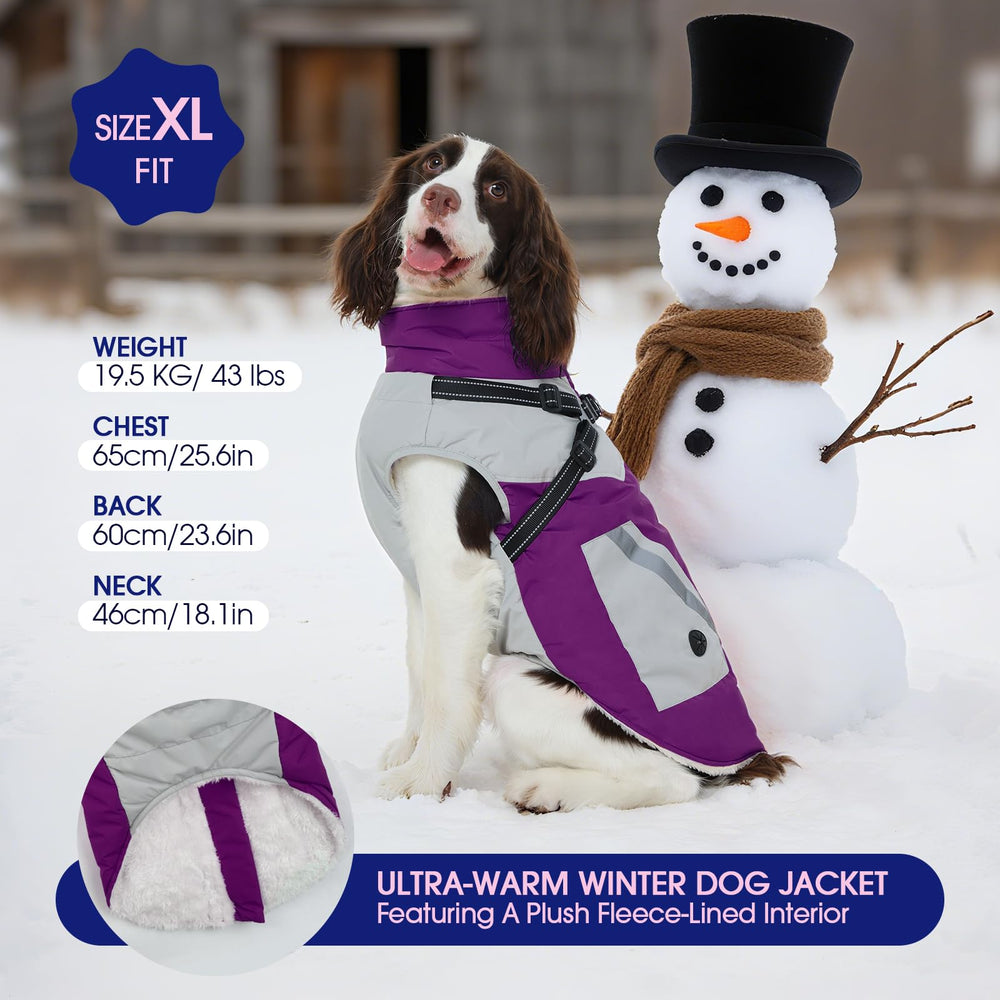 Veste FUAMEY pour chien réfléchissante, meilleure visibilité au petit matin.