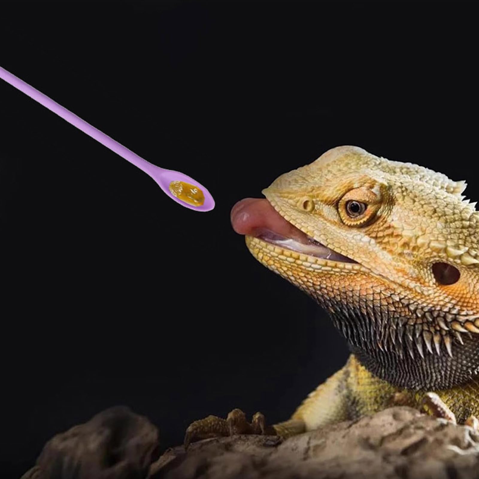 FUATY reptile-spoon manche ergonomique: prise en main confortable lors des repas.