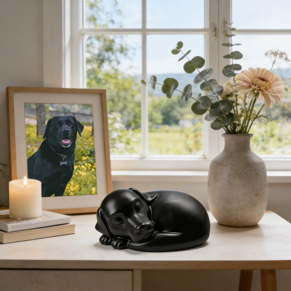 Urne chien cendres FUFYUKEY: capacité adaptée pour chiens jusqu’à 75 livres.