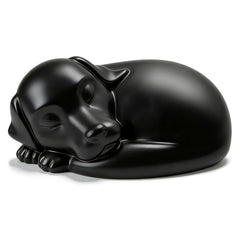 Urne chien dormants FUFYUKEY: repos sûr et élégant pour les cendres.