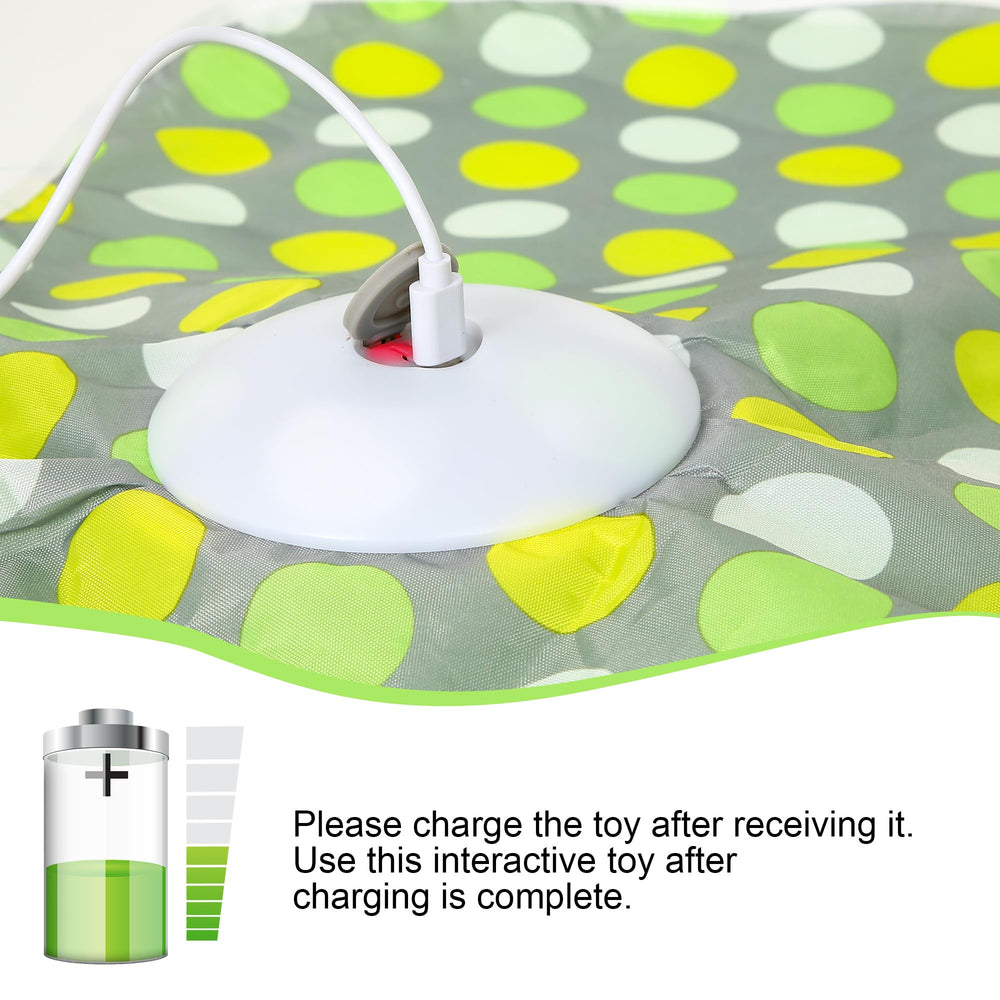 FUGODIWI chat recharge USB, énergie rapide et jeu durable.