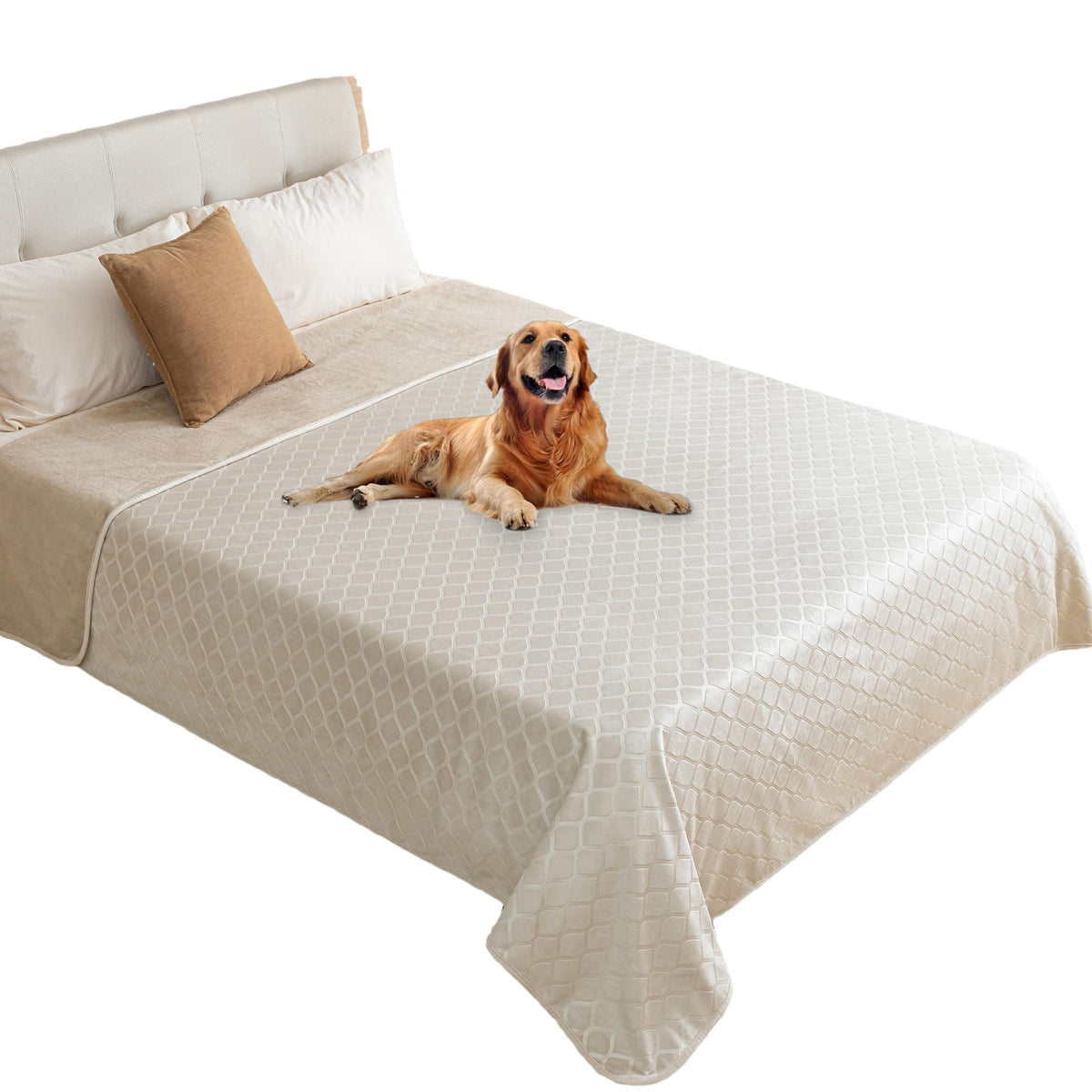 Fuguitex: couverture imperméable pour chien, protège canapé et lit des liquides.