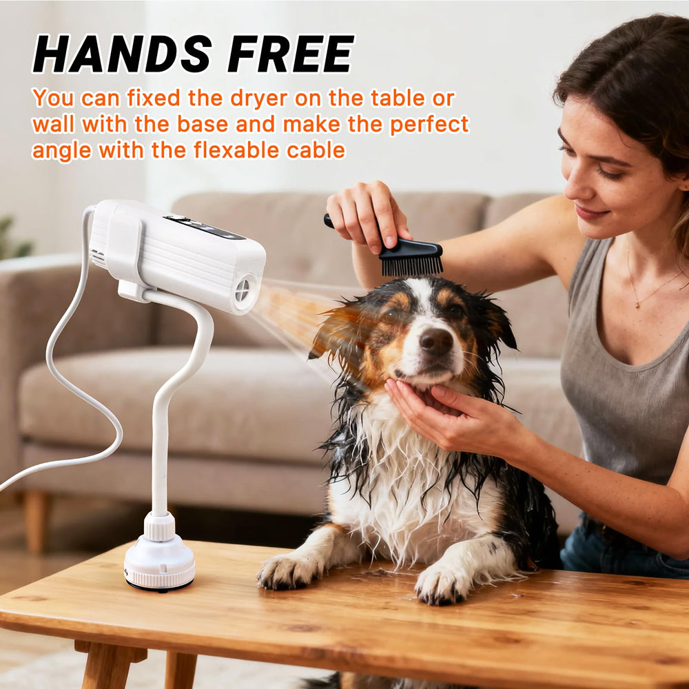 Fujoyia sécheur pour chien affichant thermostat de sécurité