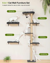 Arbre mural FUKUMARU pour chat, espace vertical stimulant.