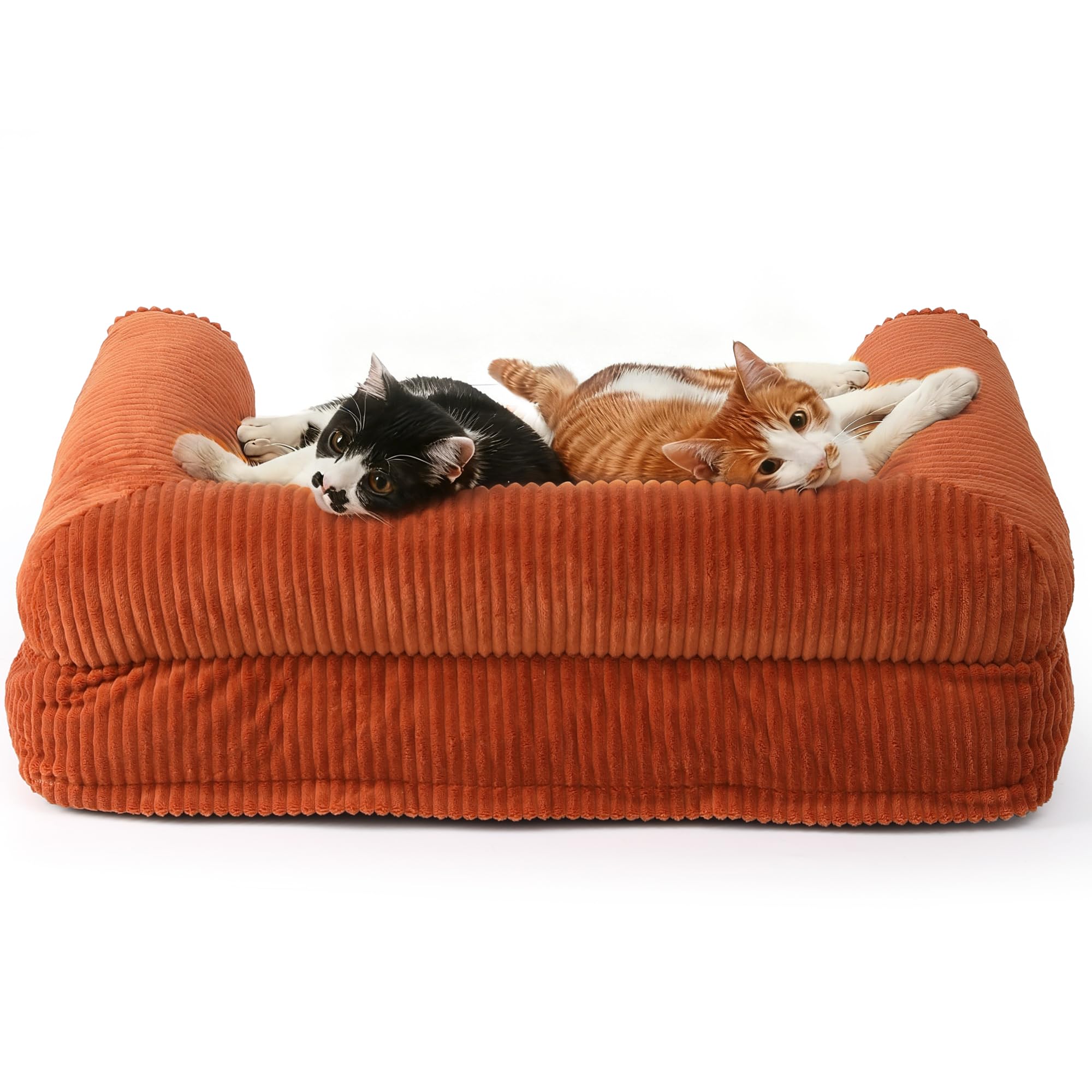 FUKUMARU canapé chien design ergonomique: apporte chaleur et confort au quotidien
