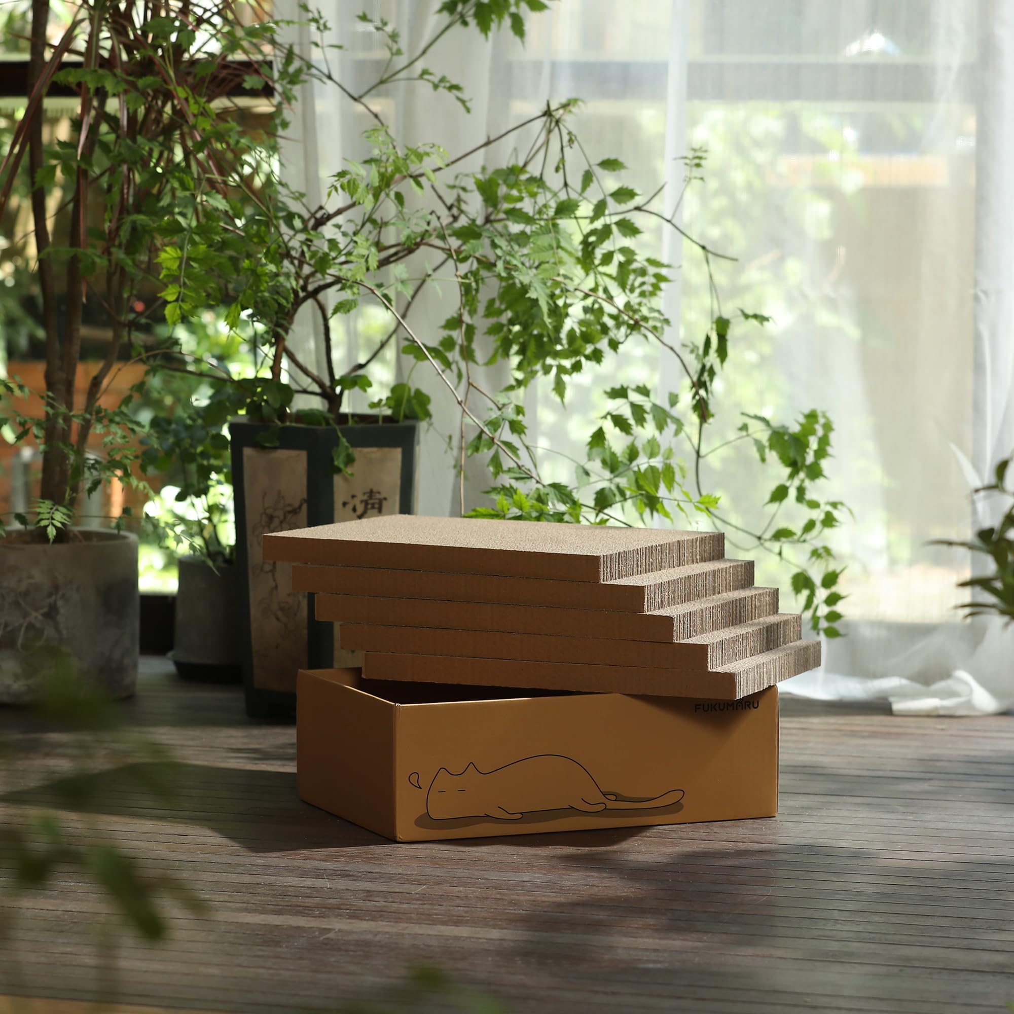 Chat confortablement installé sur le carton FUKUMARU.