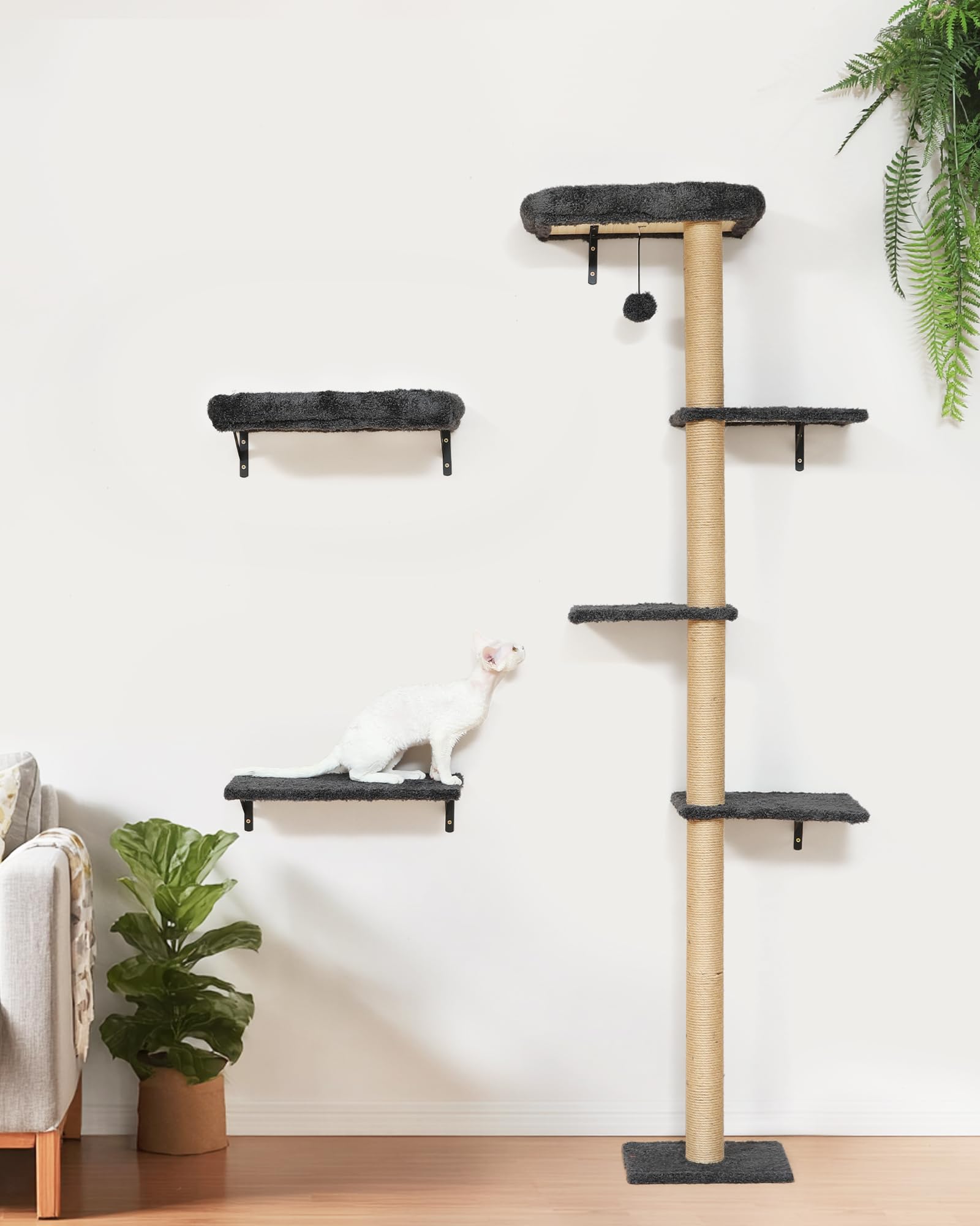 Décor intérieur FUKUMARU pour chat, touche naturelle et élégant.